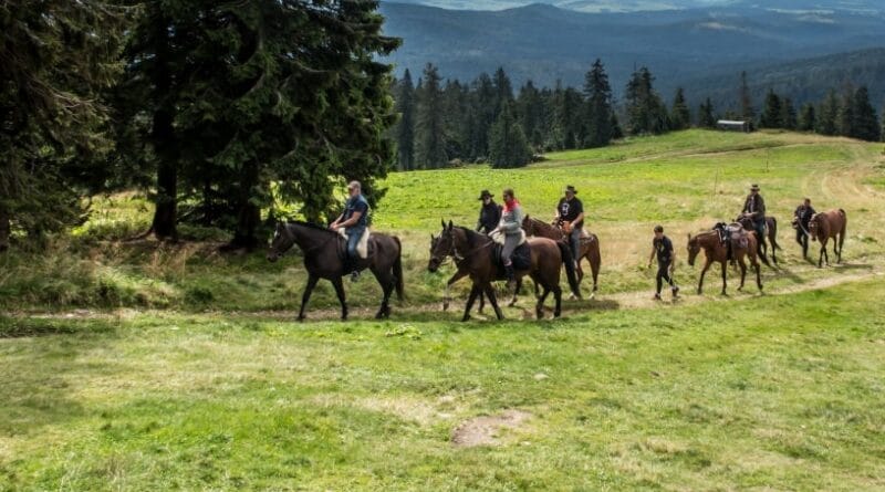 gruppo di persone che svolgono trekking a cavallo Mattie Val Susa