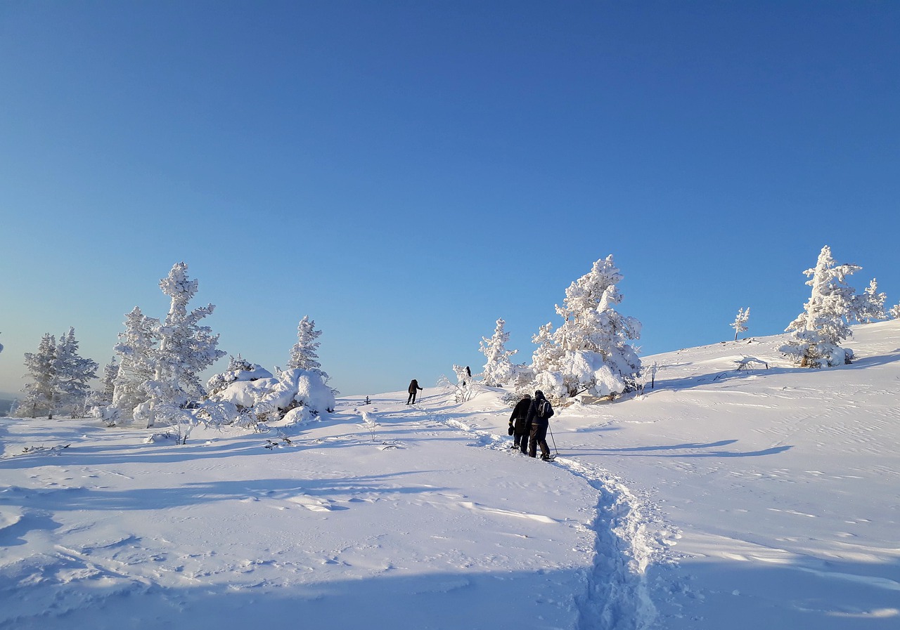escursione durante vacanza in Lapponia in inverno