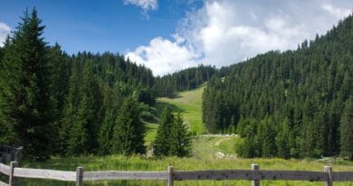 Percorso mountain bike Dolomiti madonna di Campiglio