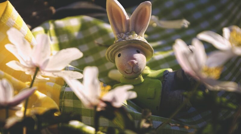 Dove andare durante le vacanze di Pasqua e pasquetta? (pupazzo di un coniglio pasquale suun prato fiorito)