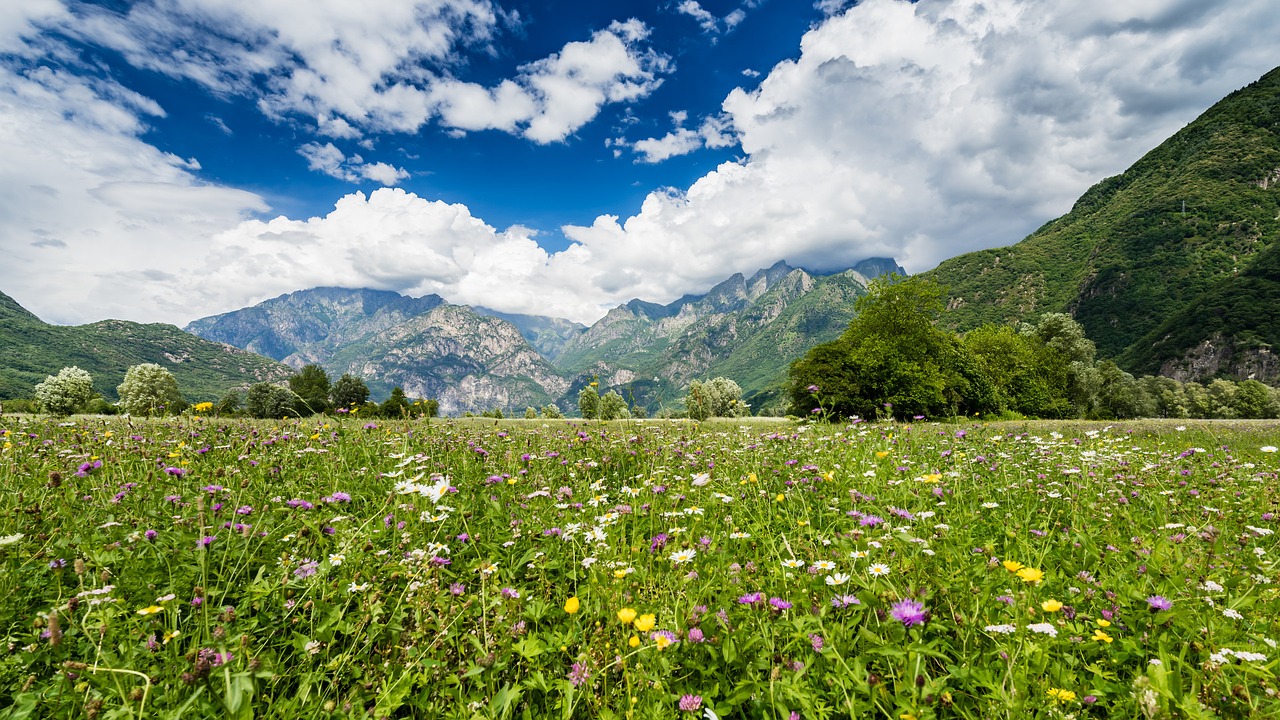 Pasquetta in Valtellina (bellissimo prato fiorito e panorama)